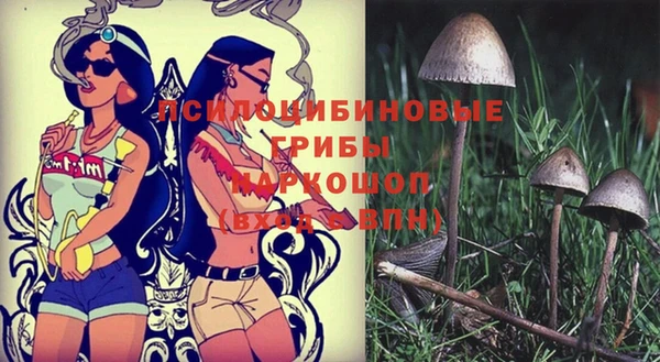 бутират Балабаново