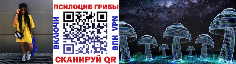 Купить где  Верхний Тагил  Галлюциногенные грибы Psilocybine cubensis 